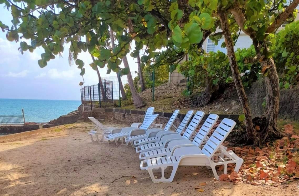 Ilet Bleu Studio Cosy Rdc Vue Mer Et Jardin - Acces Direct Plage Le Gosier  Exterior photo